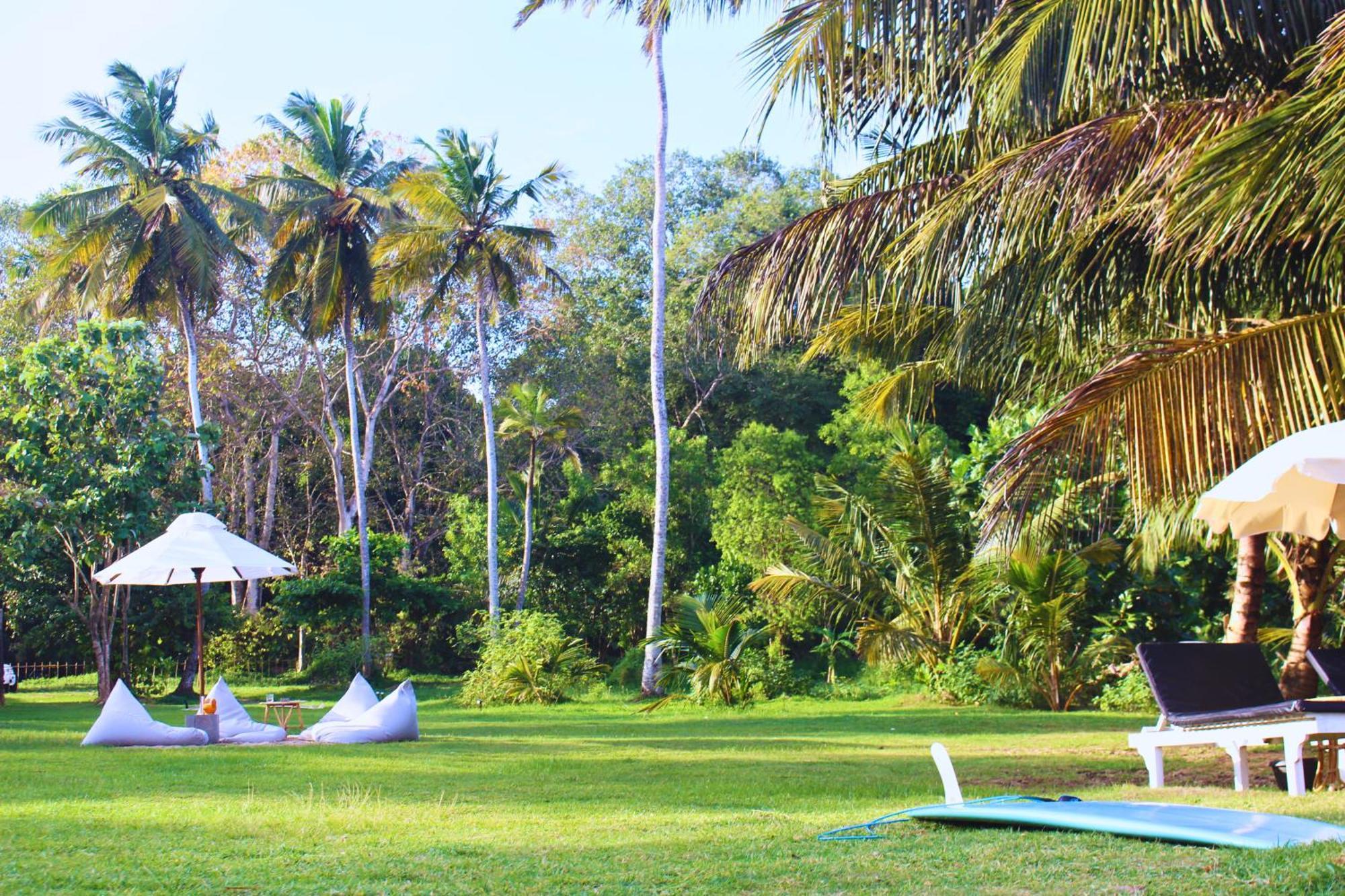Calma - Surf, Yoga & Coffee On A Private Beach Dikwella Dış mekan fotoğraf
